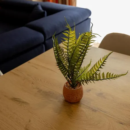 Infinity Apartmán *